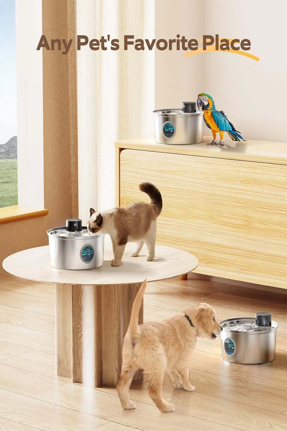 3.2L USB Rechargeable Cat & Dog Water Fountain – Stainless Steel Motion Sensor Dispenser for Multi-Pet Homes