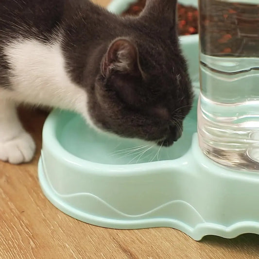 Automatic Pet Feeder & Water Dispenser – 3.8L Large Capacity Food & Water Combo for Cats and Dogs